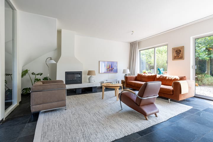 Foto 3 van Buizerd 2