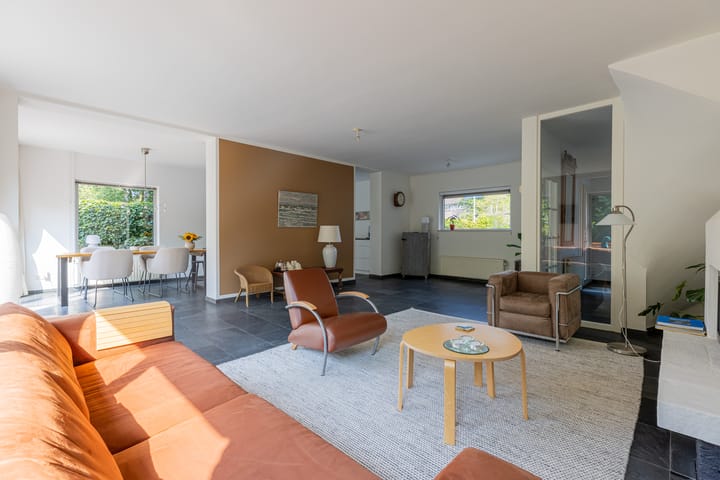 Foto 4 van Buizerd 2