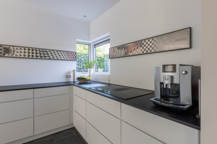 Foto 9 van Buizerd 2