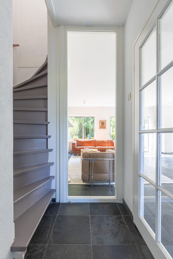 Foto 12 van Buizerd 2