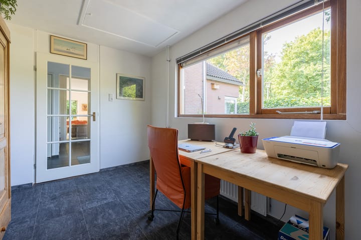 Foto 14 van Buizerd 2