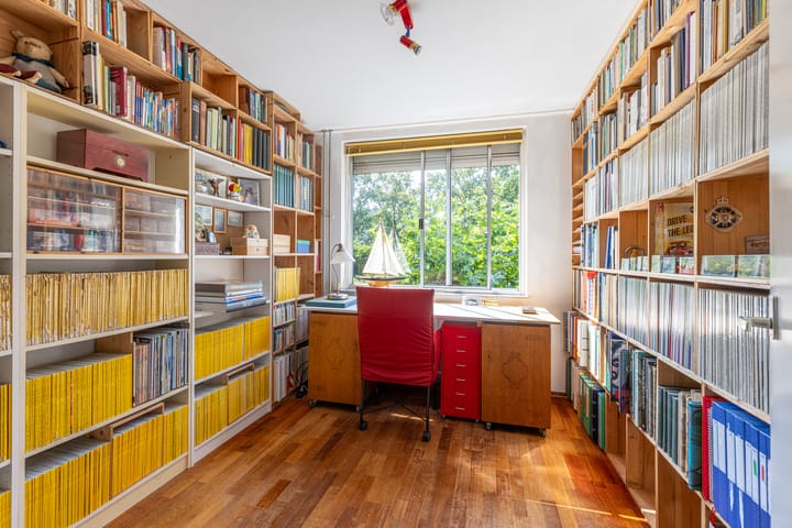 Foto 16 van Buizerd 2