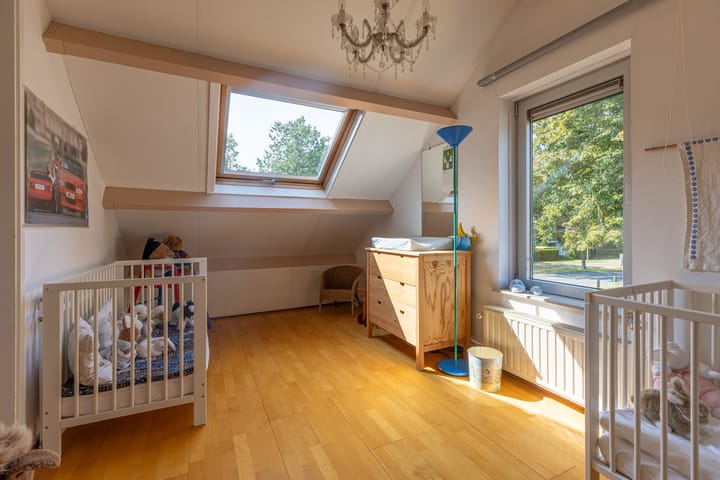 Foto 17 van Buizerd 2