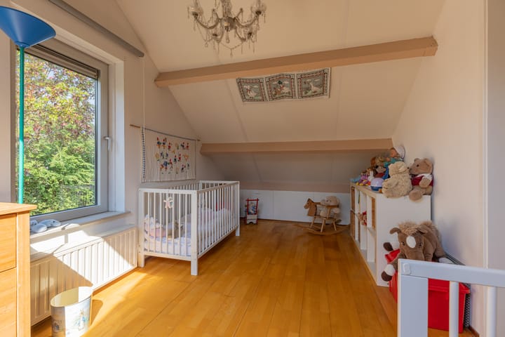 Foto 18 van Buizerd 2