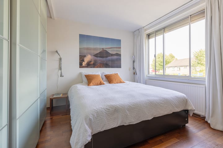 Foto 19 van Buizerd 2