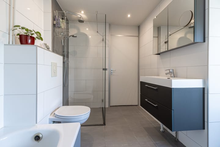 Foto 20 van Buizerd 2