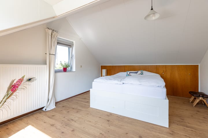 Foto 22 van Buizerd 2