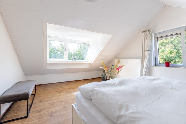 Foto 23 van Buizerd 2