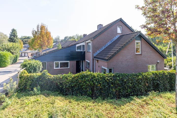 Foto 24 van Buizerd 2