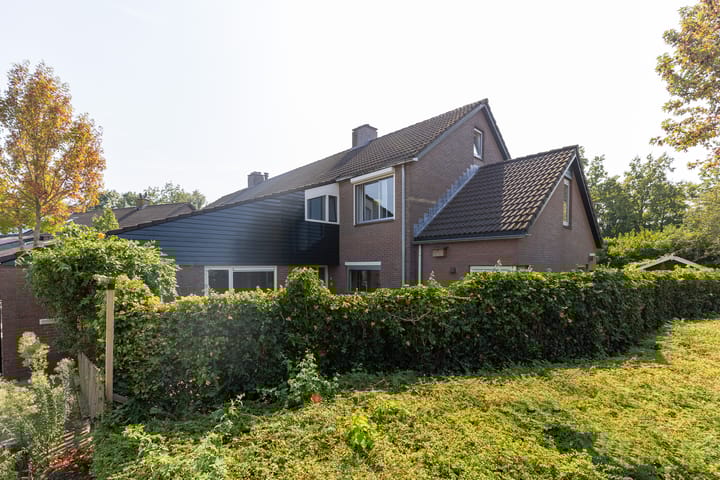 Foto 25 van Buizerd 2