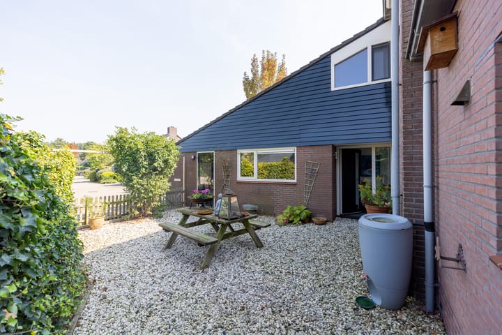 Foto 26 van Buizerd 2