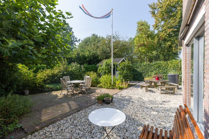 Foto 27 van Buizerd 2