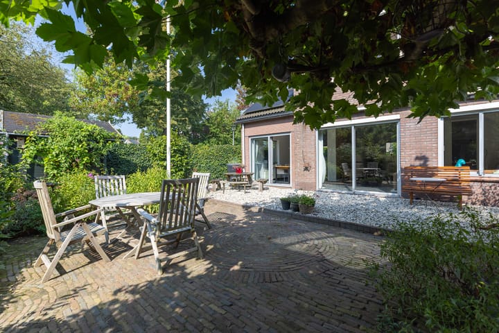 Foto 28 van Buizerd 2