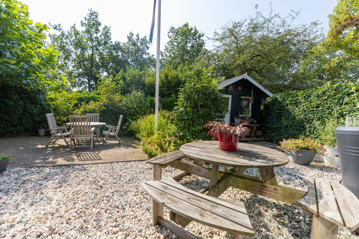 Foto 29 van Buizerd 2