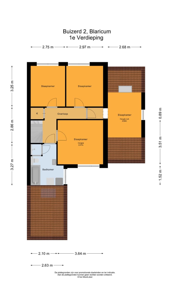 Foto 32 van Buizerd 2