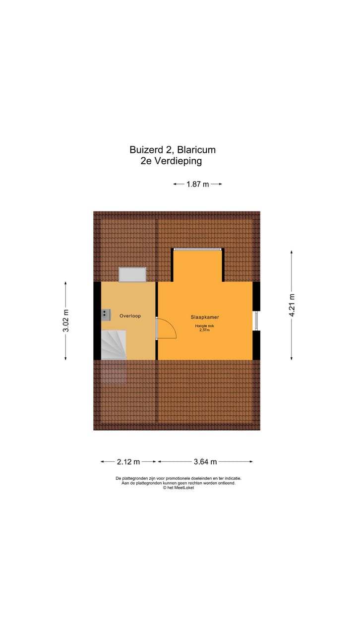 Foto 33 van Buizerd 2