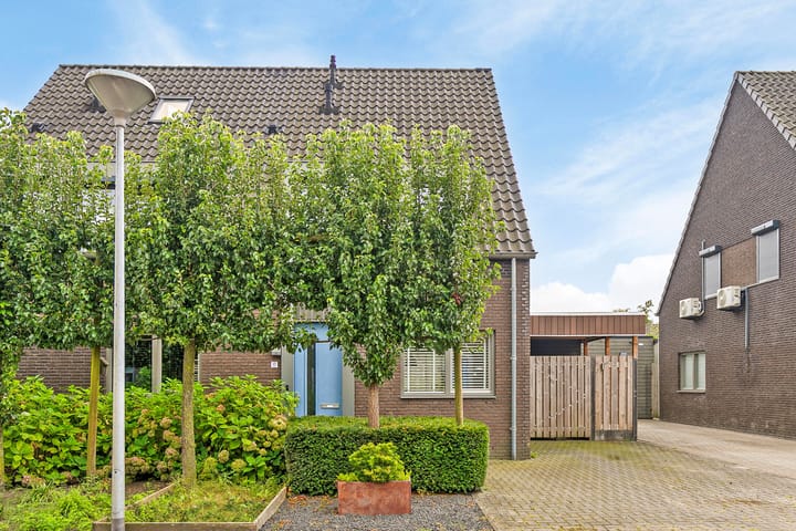 Foto 31 van Rozemarijn 17