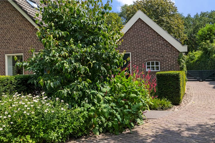 Foto 55 van Westenesscherstraat 80