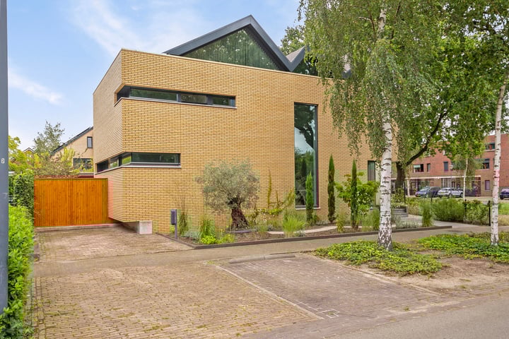 Bekijk foto 4 van Grasleeuwerik 23