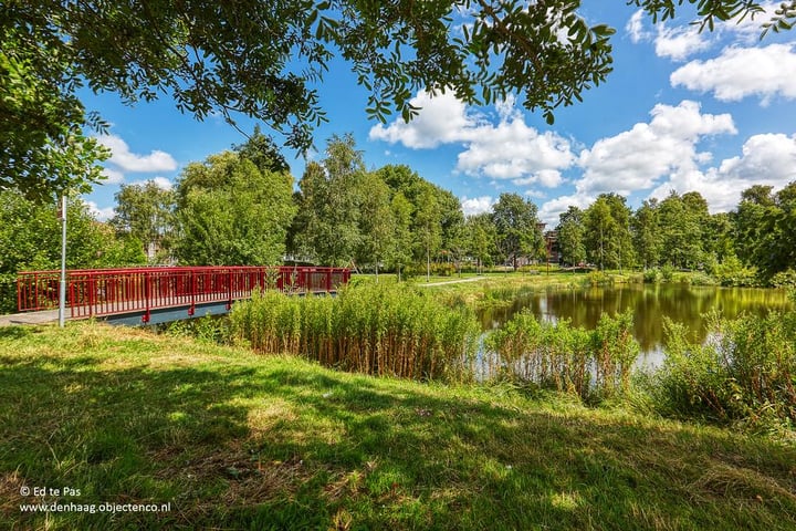 Bekijk foto 34 van Spinozalaan 38-N