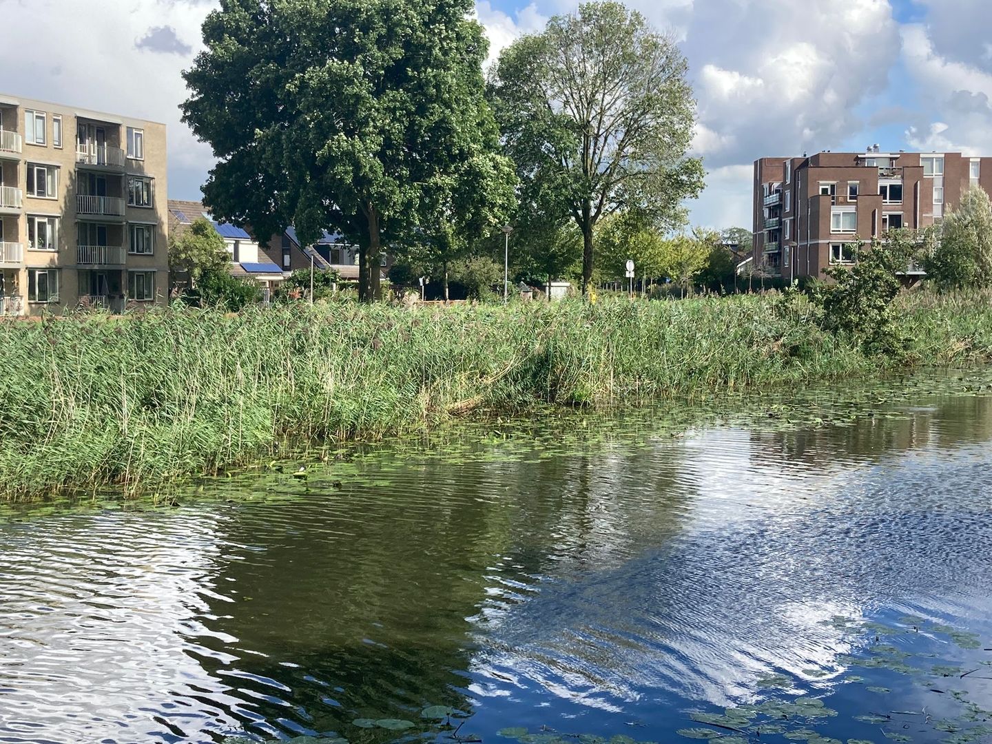 Foto 49 van Kaartenmaker 22