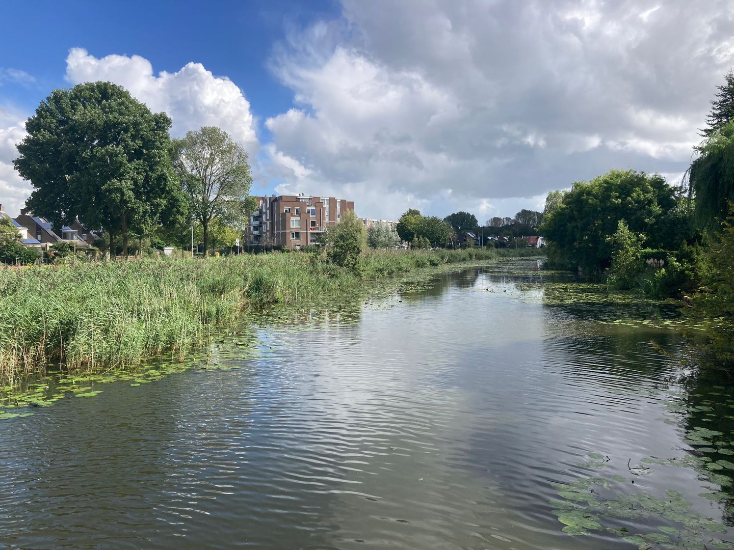 Foto 50 van Kaartenmaker 22