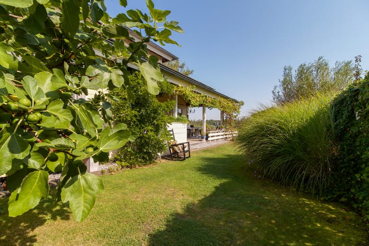 Foto 46 van Freya 39