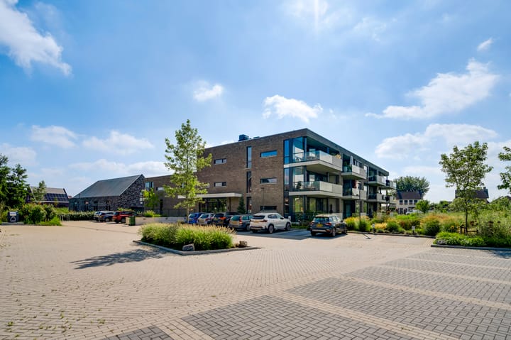 Foto 1 van Wiejerd 5