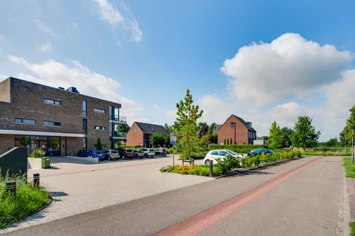 Foto 20 van Wiejerd 5