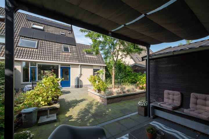 Foto 3 van Sneeuwuil 3