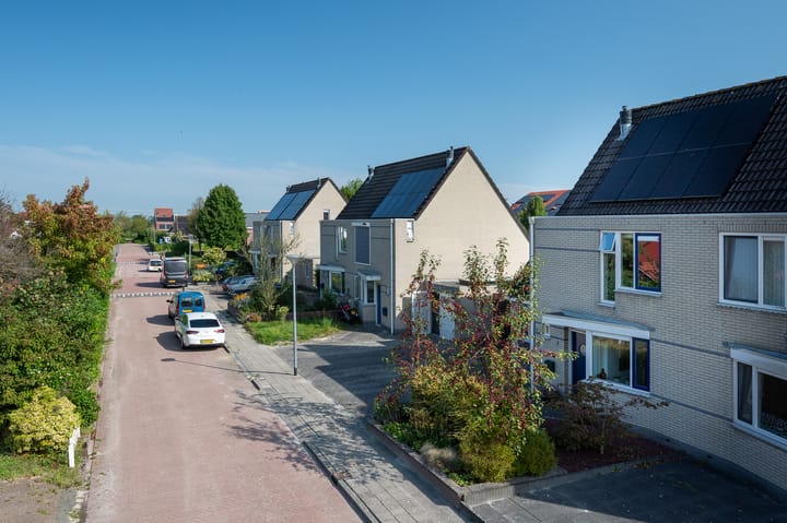 Foto 4 van Sneeuwuil 3