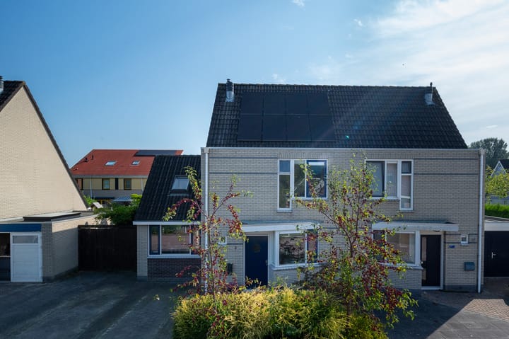 Foto 5 van Sneeuwuil 3