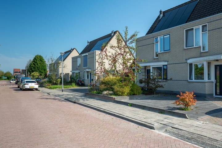 Foto 7 van Sneeuwuil 3