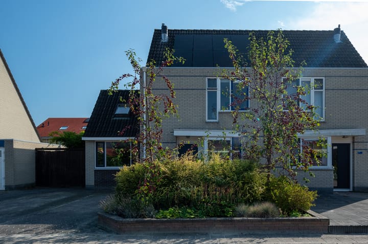 Foto 8 van Sneeuwuil 3