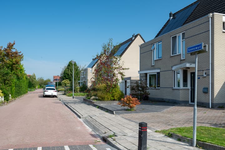 Foto 9 van Sneeuwuil 3