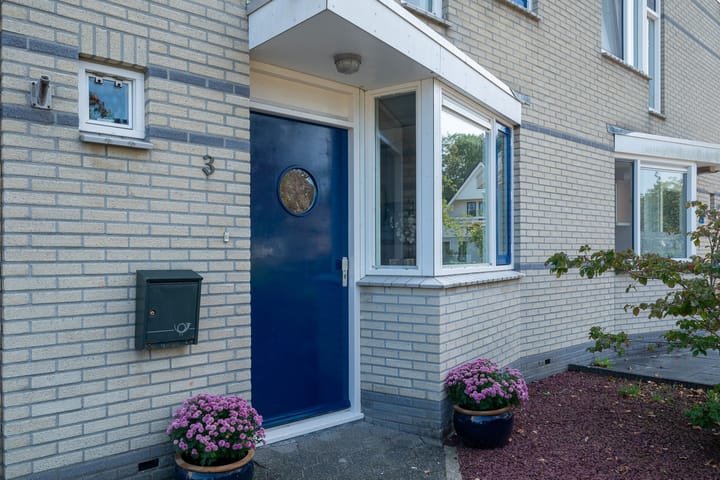 Foto 11 van Sneeuwuil 3