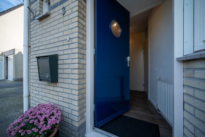 Foto 12 van Sneeuwuil 3