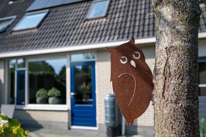 Foto 38 van Sneeuwuil 3