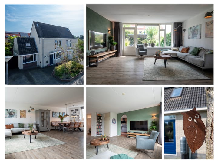 Foto 48 van Sneeuwuil 3