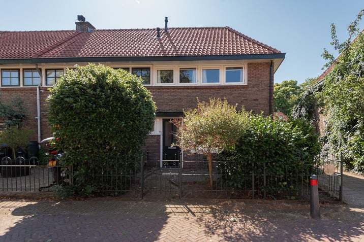 undefined main image
