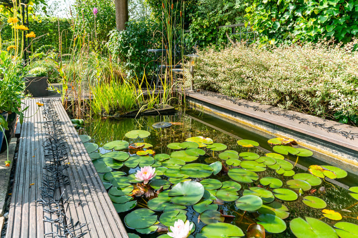 Foto 48 van Zaaihoek 12