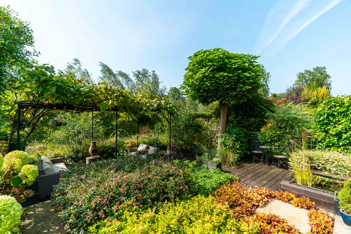 Foto 50 van Zaaihoek 12