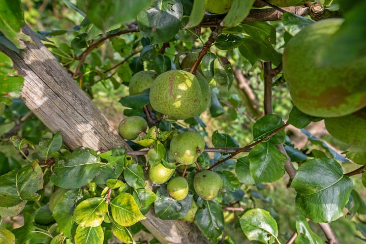 Foto 7 van Lookwatering 44