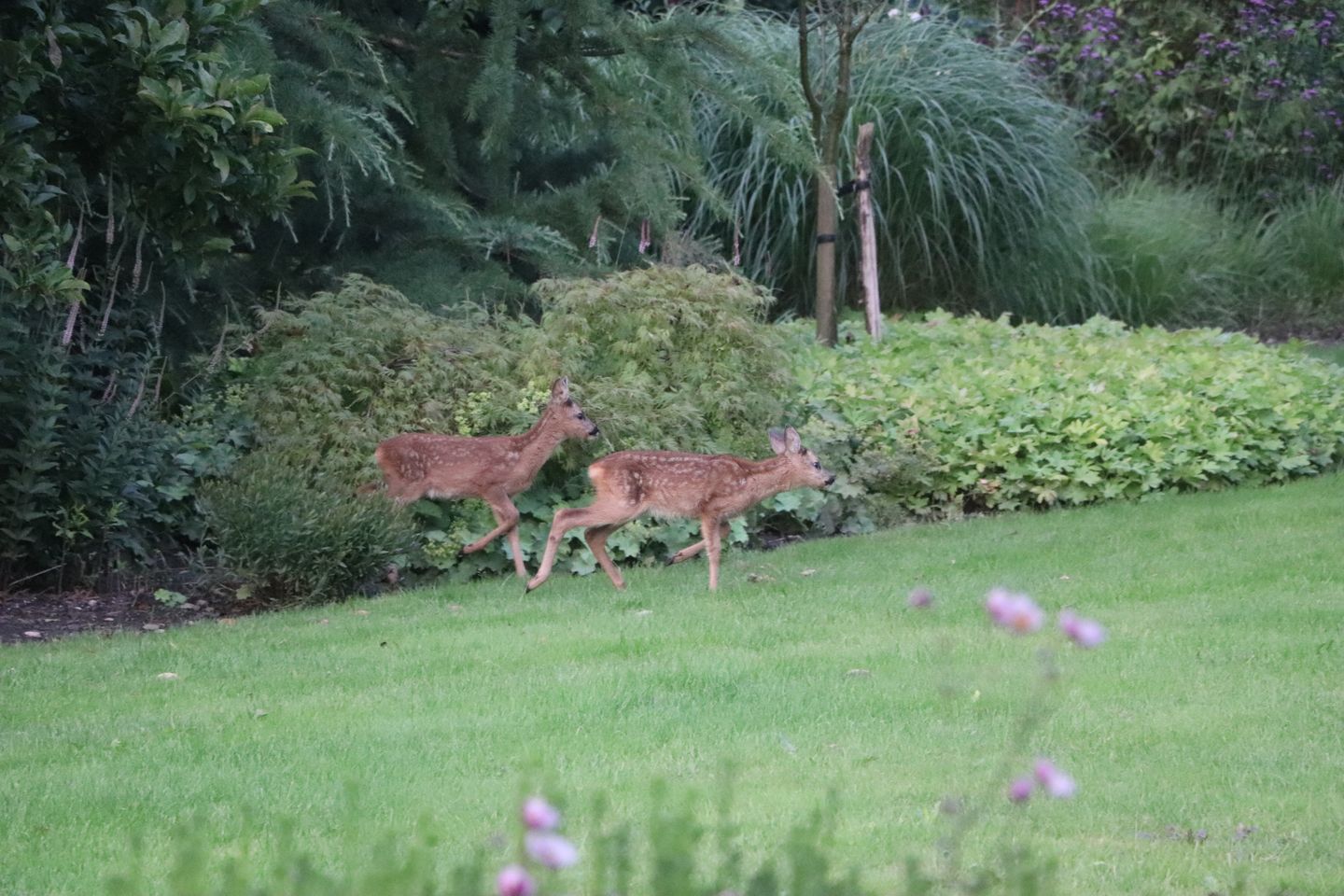 Foto 20 van Postweg 129