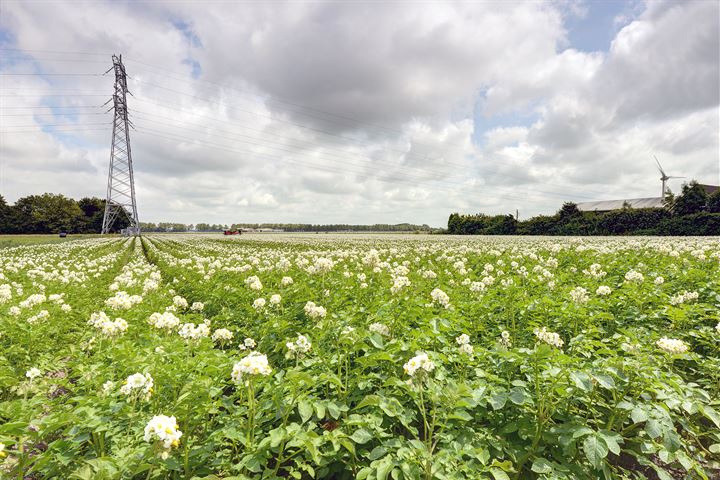 Bekijk foto 48 van Rijderslaan 2