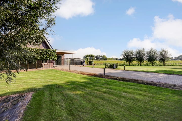 Photo 13 of Middelsluissedijk OZ 47