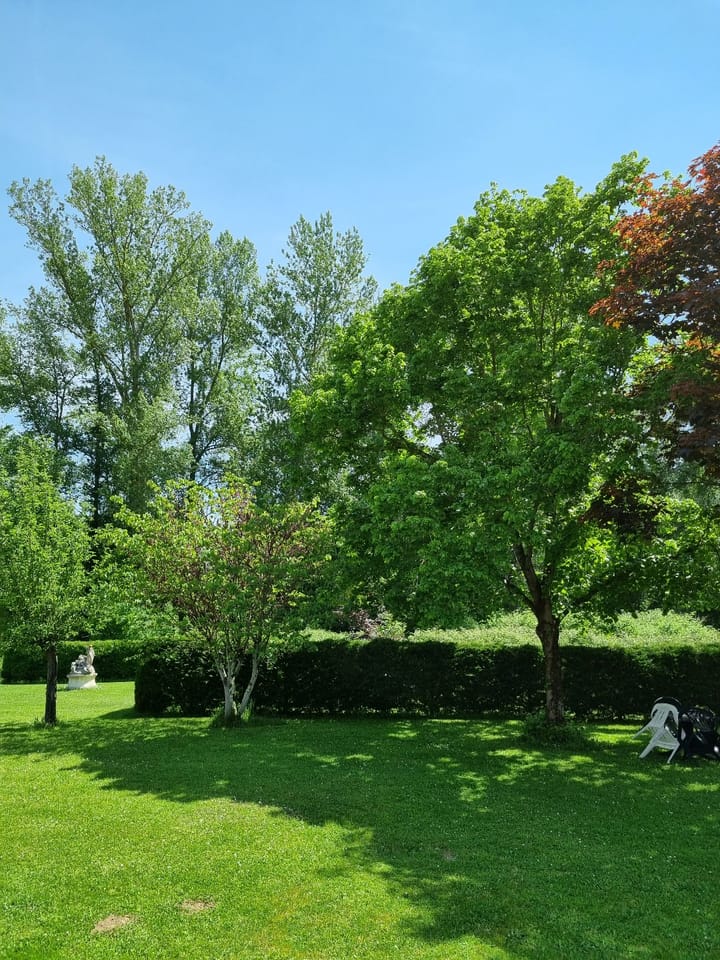 Foto 33 van chemin des Isles 6