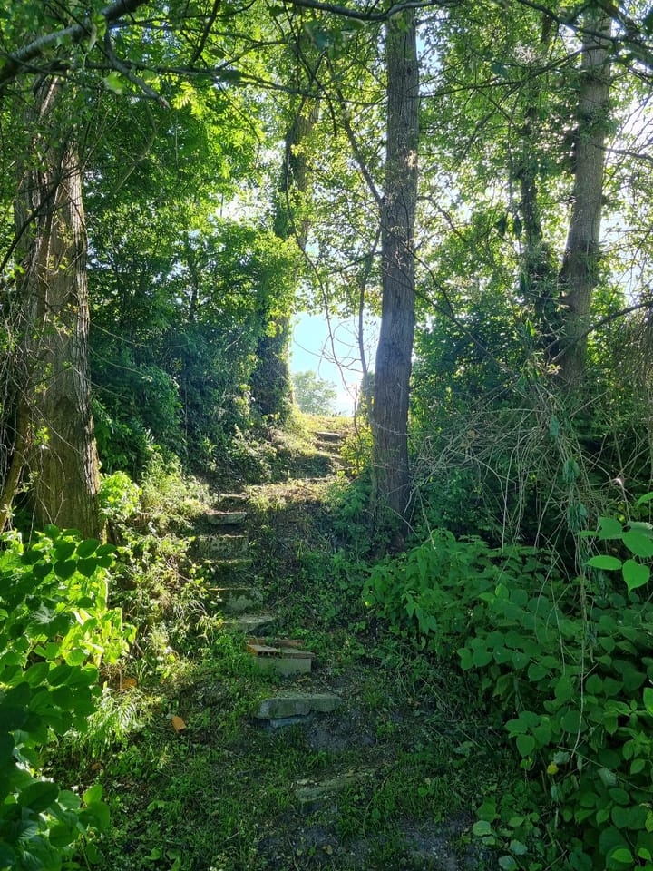 Foto 38 van chemin des Isles 6