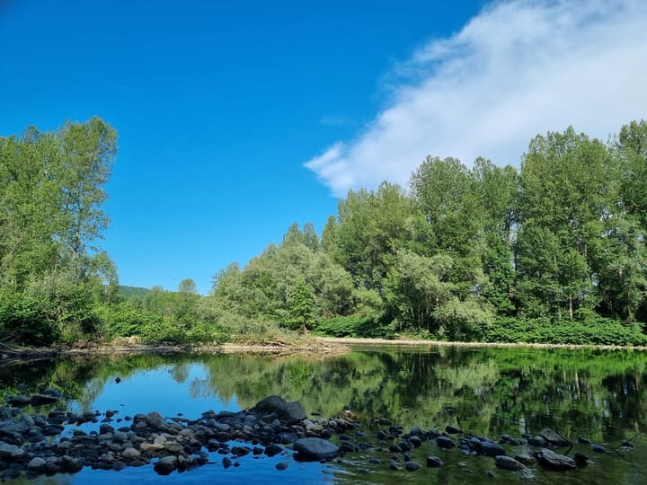 Foto 41 van chemin des Isles 6