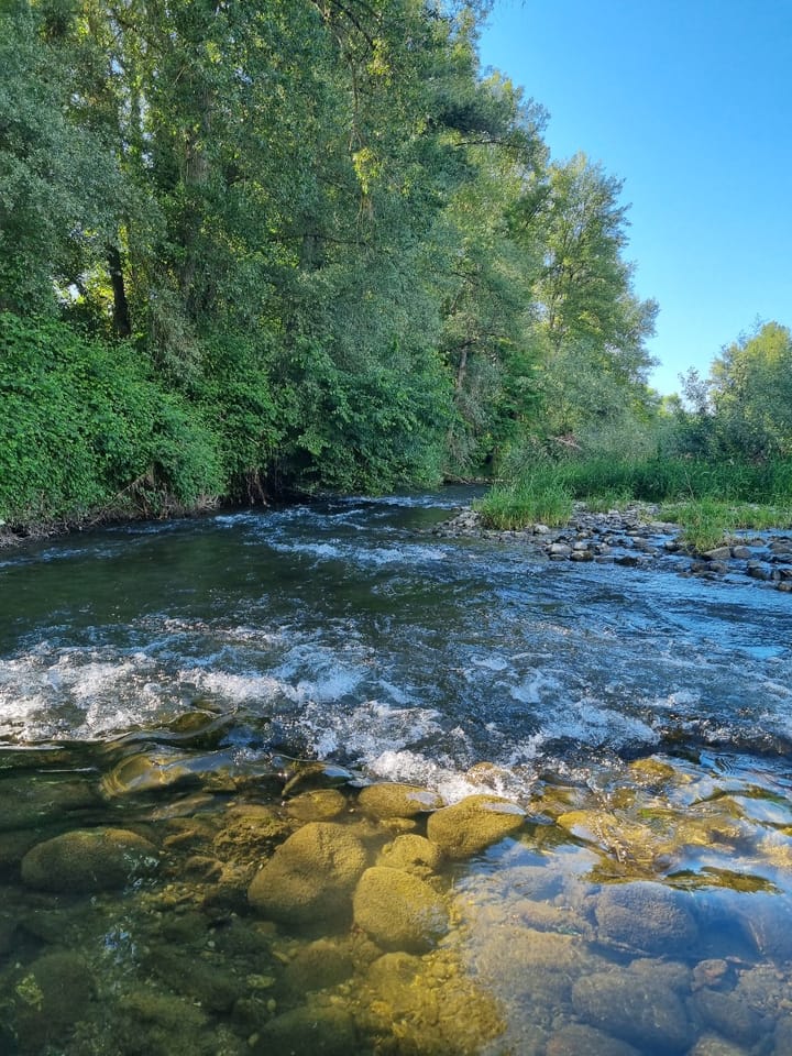 Foto 42 van chemin des Isles 6